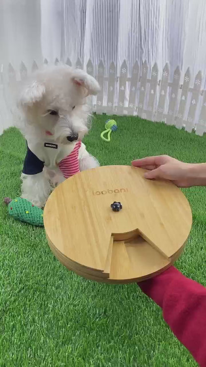 Wall Clock hondenpuzzel- Betrokkenheid creëren - Vermaken - Toegevoegde waarde bieden