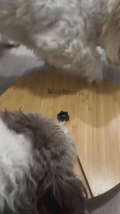 Wall Clock hondenpuzzel- Betrokkenheid creëren - Vermaken - Toegevoegde waarde bieden